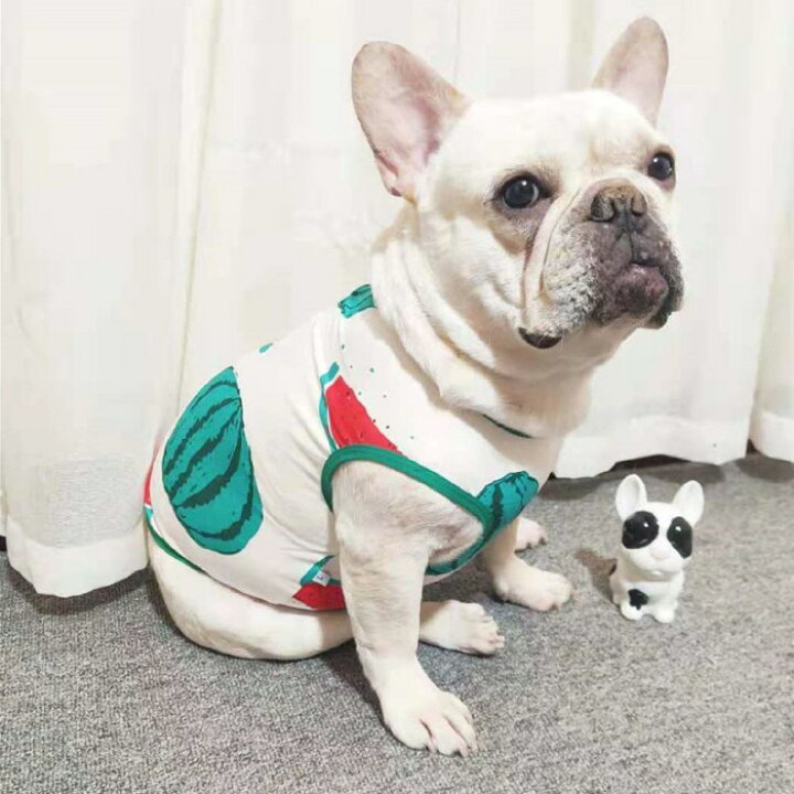楽天市場 犬 春 夏服 中型犬 フレンチブルドッグ フレブル スイカ 夏 グリーン 白 ホワイト 爽やか 薄手 タンクトップ 犬 服 ドッグウェア 小型犬 柄 ペット服 Km373t Bestwear