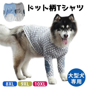   ^ ^ S[f uh[ Hc nXL[ TGh X^_[hv[h O[ u[ Tshirt TVc pW}  [EFA іh~ ΍ KM393TS