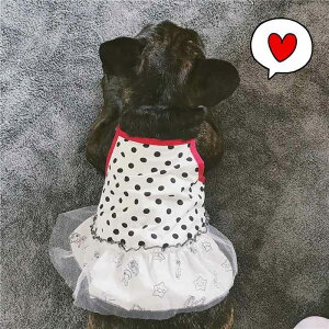  t  s[X 킢  t`uhbO tu ^ ̎q XJ[g  t   hbOEFA KM204SK