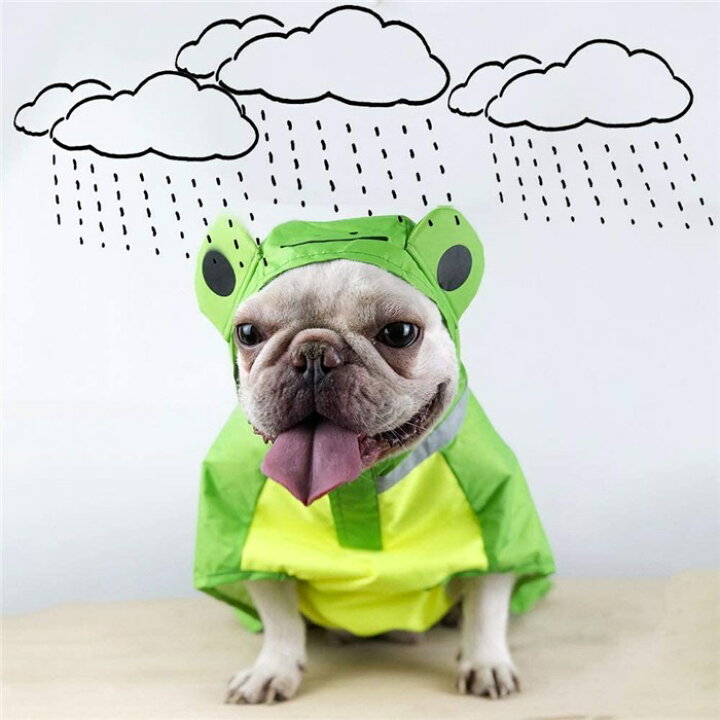 楽天市場 犬 レインコート かわいい おしゃれ フレンチブルドッグ カエル フリーサイズ フレンチ コーギー カッパ 雨の日も散歩 撥水 濡れない 雨具 雨服 Km6op Bestwear
