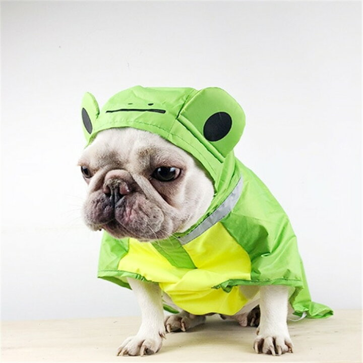 楽天市場 犬 レインコート かわいい おしゃれ フレンチブルドッグ カエル フリーサイズ フレンチ コーギー カッパ 雨の日も散歩 撥水 濡れない 雨具 雨服 Km6op Bestwear