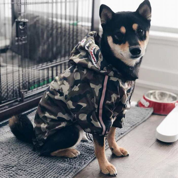 楽天市場 ポイント5倍ブラックフライデー 動画あり フレンチブルドッグ レインコート 小型犬 中型犬 大型犬 犬 雨 散歩 グッズ フレブル 防水ジャケット 犬 服 ドッグウェア ジャンパー オシャレ ペット服 ペットウェア Km255jk Bestwear