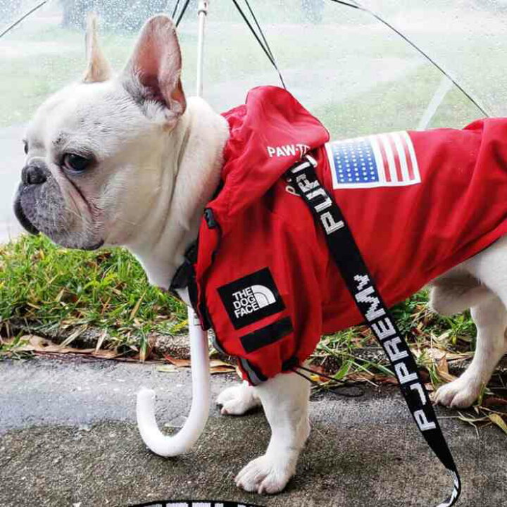 楽天市場 動画あり フレンチブルドッグ レインコート 小型犬 中型犬 大型犬 犬 雨 散歩 グッズ フレブル 防水ジャケット 犬 服 ドッグウェア ジャンパー オシャレ ペット服 ペットウェア Km255jk Bestwear