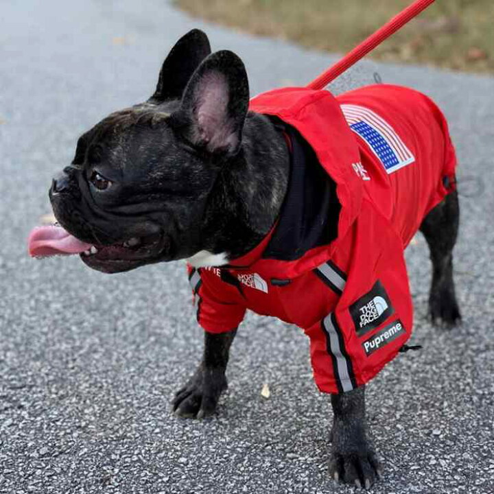 楽天市場 動画あり フレンチブルドッグ レインコート 小型犬 中型犬 大型犬 犬 雨 散歩 グッズ フレブル 防水ジャケット 犬 服 ドッグウェア ジャンパー オシャレ ペット服 ペットウェア Km255jk Bestwear
