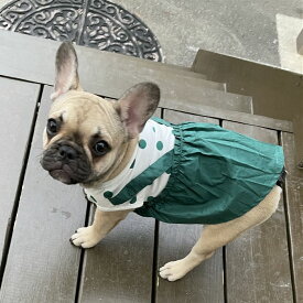 楽天市場 コーギー ワンピース ドッグウェア 犬用品 ペット ペットグッズの通販