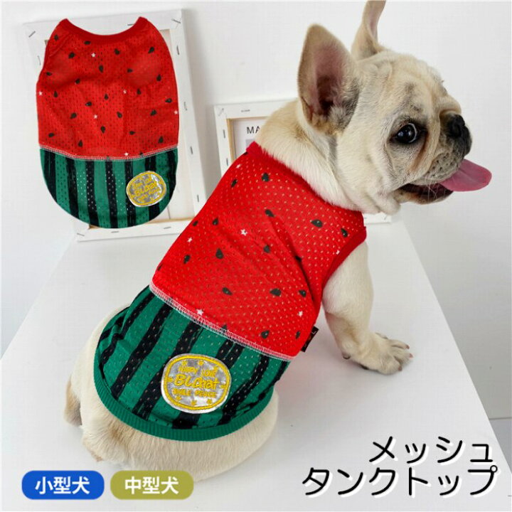 楽天市場】犬 服 すいか フレンチブルドッグ 夏 メッシュ タンクトップ 