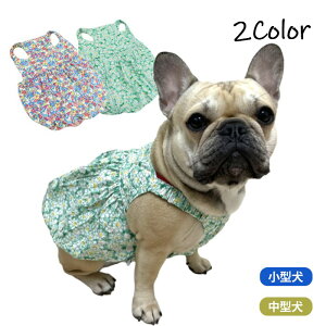  t  s[X t`uhbO  ^ ^ tu O[ u[ ԕ  ̎q XJ[g s[X  hbOEFA   ybg KM263SK