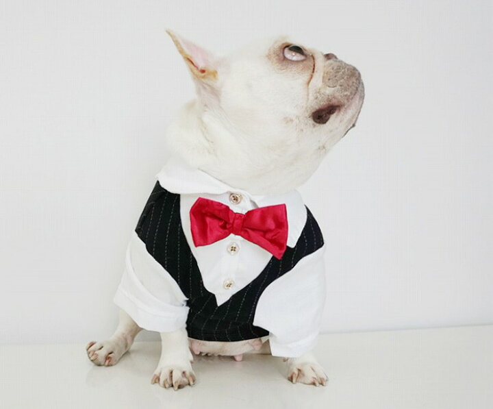 楽天市場 土日限定 店内ポイント5倍 フレンチブルドッグ 服 犬 中型犬 小型犬 ペット タキシード スーツ 蝶ネクタイ付き おめかし お出かけ 犬 猫服 正装 結婚式 Km306ts フィットネス ヨガウェアbestwear