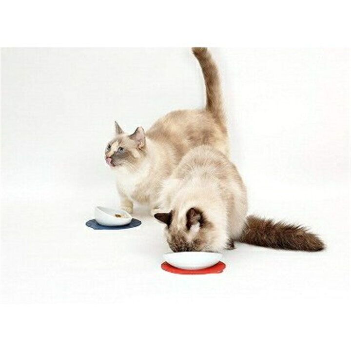 楽天市場】HARIOハリオ 猫専用フードボウル 長毛種猫用 短毛種猫用