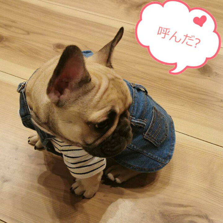 楽天市場 動画あり 犬 服 フレンチブルドッグ デニム ワンピース 春 夏 秋 冬 服 ドッグウェア 中型犬 小型犬 大型犬ジーンズ風 フレブル つなぎ スカート おしゃれ 可愛い ペット用 Km299sk Bestwear