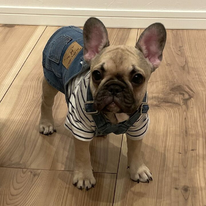 楽天市場 動画あり 犬 服 フレンチブルドッグ デニム ワンピース 春 夏 秋 冬 服 ドッグウェア 中型犬 小型犬 大型犬ジーンズ風 フレブル つなぎ スカート おしゃれ 可愛い ペット用 Km299sk Bestwear