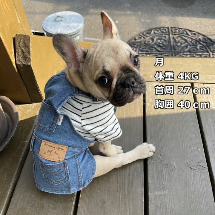 楽天市場 動画あり 犬 服 フレンチブルドッグ デニム ワンピース 春 夏 秋 冬 服 ドッグウェア 中型犬 小型犬 大型犬ジーンズ風 フレブル つなぎ スカート おしゃれ 可愛い ペット用 Km299sk Bestwear