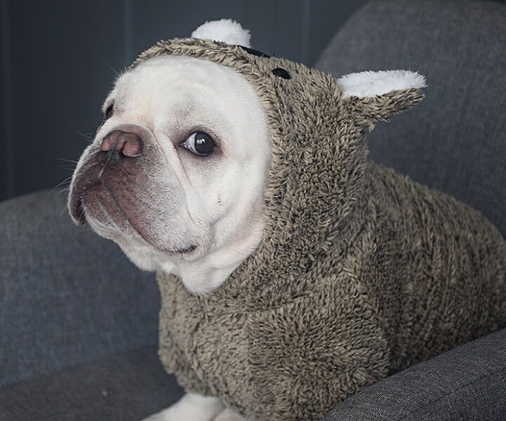 楽天市場 フレンチブルドッグ 春秋冬 もこもこ コアラ トレーナー ふわふわパーカー 可愛い 変身 耳付き コスプレ 部屋着 暖かい フリース生地 Km348ts Bestwear