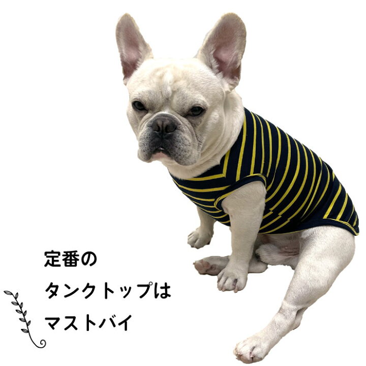 楽天市場 犬 タンクトップ 1000円ぽっきり 送料無料 フレンチブルドッグ フレブル ストライプ ボーダー 夏服 可愛い おしゃれ 普段着 春 夏 ドッグウェア ブルドッグ 動きやすい パジャマ トイプードル チワワ 柴犬 Km321t Bestwear