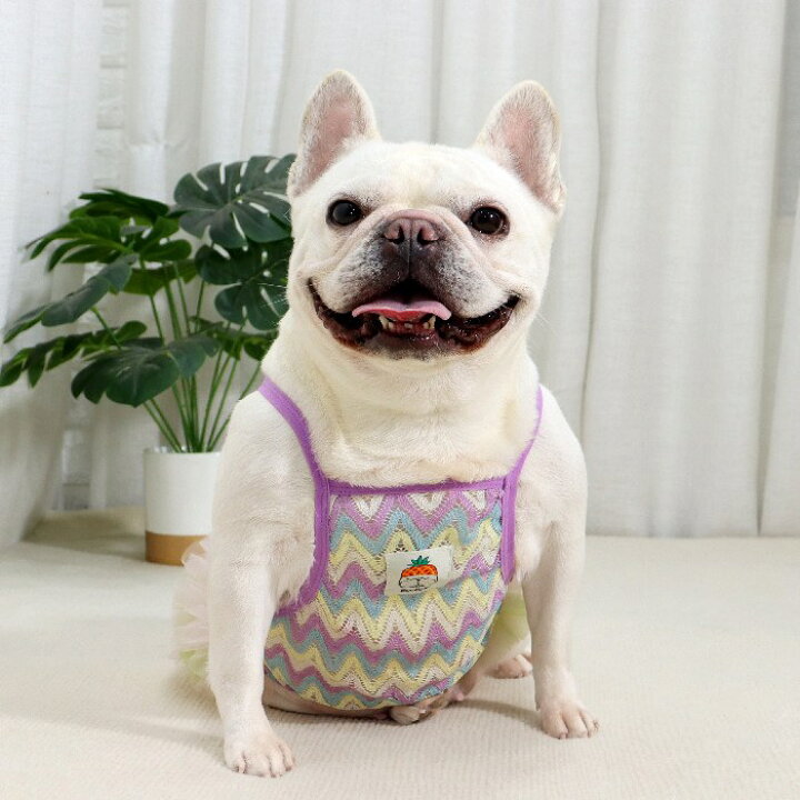 楽天市場】フレンチブルドッグ 犬服 春 夏フレブル 女の子 チュチュ  