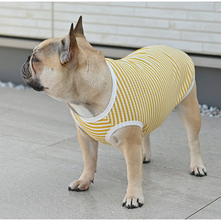 楽天市場】犬服 春 夏 タンクトップ ボーダー フレンチブルドッグ パグ 
