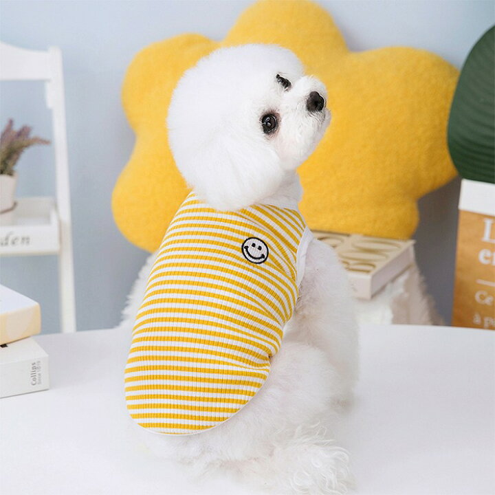 楽天市場】犬服 春 夏 タンクトップ ボーダー フレンチブルドッグ パグ