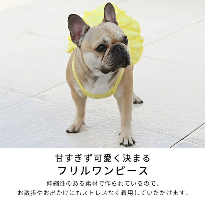 楽天市場】犬服 ワンピース フリル 犬 服 夏 春 ピンク フレンチ 