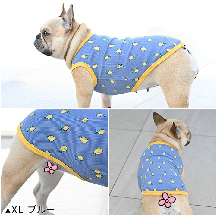 楽天市場】犬服 夏 レモン タンクトップ 春 フレンチブルドッグ パグ 