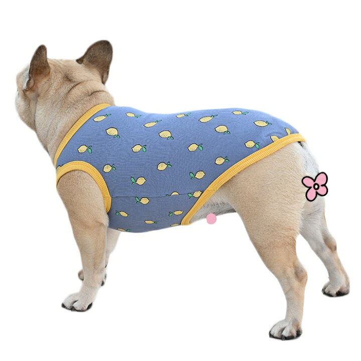 楽天市場】犬服 夏 レモン タンクトップ 春 フレンチブルドッグ パグ 