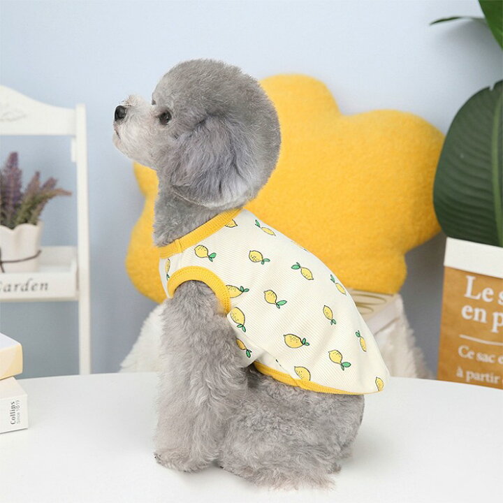 楽天市場】犬服 夏 レモン タンクトップ 春 フレンチブルドッグ パグ 