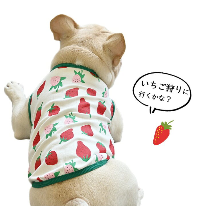 楽天市場】イチゴ柄 犬服 タンクトップ 春 かわいい フレブル パグ 