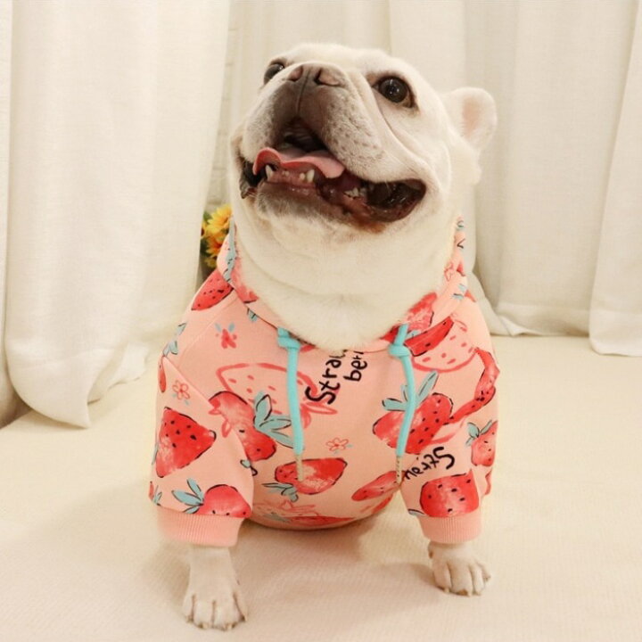 楽天市場】フレンチブルドッグ ペット 犬 服 秋冬 中型犬 イチゴ 
