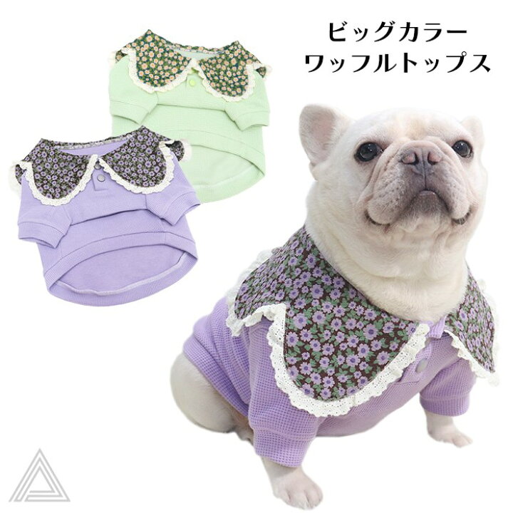 楽天市場】【売り尽くし】フレンチブルドッグ 服 ビッグカラーワッフル 