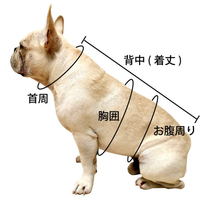 楽天市場 大型犬 ロンパース 犬 服 8xl 9xl 10xl 11xl ゴールデンレトリバー ハスキー シェパード 秋田犬 ハイネック 長袖 ドッグウェア 秋冬 つなぎ インナー 冬 防寒 寒さ対策 ペット 犬服 かわいい 大きいサイズ 伸縮性 薄手 袖付き 汚れ防止 皮膚 保護 お散歩 楽天市場 大型犬 ロンパース 犬 服 8xl 9xl 10xl 11xl ゴールデンレトリバー ハスキー シェパード 秋田犬 ハイネック 長袖 ドッグウェア 秋冬 つなぎ インナー 冬 防寒 寒さ対策 ペット 犬服 かわいい 大きいサイズ 伸縮性 薄手 袖付き 汚れ防止 皮膚 保護 お散歩