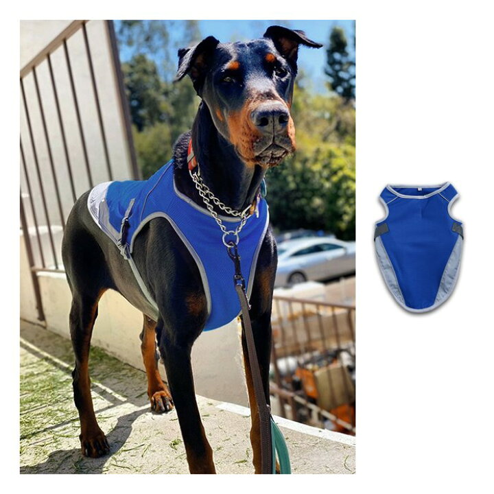 楽天市場 犬 夏 クールベスト 熱中症対策 ひんやりベスト 冷却犬服 犬用 暑さ対策 フレンチブルドッグ フレブル 中型犬 大型犬 ひんやり ウェア 冷感犬服 クールウェア ドッグウェア Km453t Bestwear