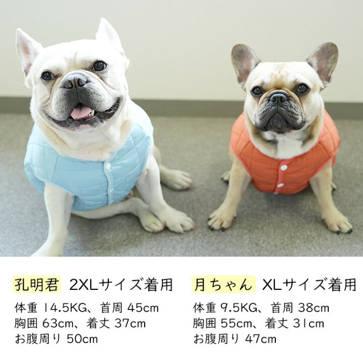 楽天市場】【SALE返品交換不可】フレンチブルドッグ 秋冬 冬 