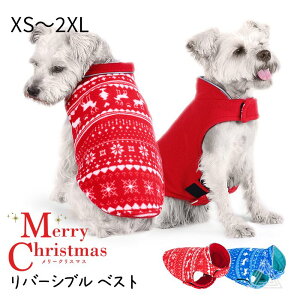 t[Xn  o[Vu NX}X xXg }WbNe[v ~ ΍ RX`[ RXv zf[ n X-mas Cxg Be   L p[eB[ ̕ ^ ^ t