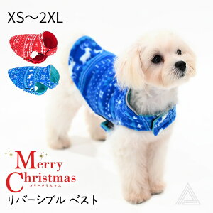 t[Xn  o[Vu NX}X xXg }WbNe[v ~ ΍ RX`[ RXv zf[ n X-mas Cxg Be   L p[eB[ ̕ ^ ^ t