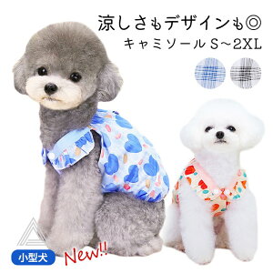 1000~ۂ ^ L~\[  XJ[g n[g gCv[h ` }`[Y |jA   t   hbOEFA Be a  u[ I