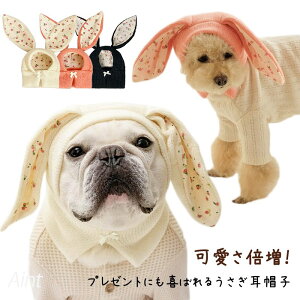  Xq  ~ h t`uhbO ybgXq ETM ꎨ RX`[ ^ ^  ` gCv[h H |jA ~j`AViEU[ [NVeA 