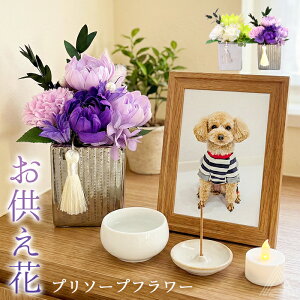 \[vt[   V{t[ v\[vt[ vU[uht[ Όf ͂Ȃ dp ybg [EA؃[ ₩Ȗ    