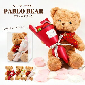 \[vt[  efBxA v[g  ʂ puxA &u[P NAP[X w Ǝ u[P ԑ a ̓ l  ސE \ oY   