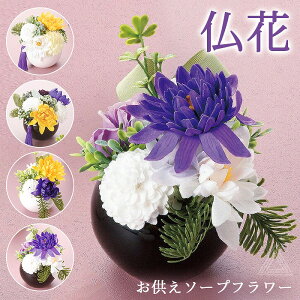 \[vt[  ق̂ V{t[ Όf ͂Ȃ dp     a d O ~ ފ @ ̐l ~  SF-GM-3671