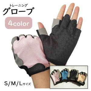  W O[u n[ttBK[ TCNO[u TCNO X|[cp ]Ԏ܃fB[X g[jO ؃g X|[c  _x {fBpv X^WI @\ 