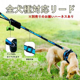 楽天市場 収納 付き カラーグリーン 首輪 胴輪 リード 犬用品 ペット ペットグッズの通販