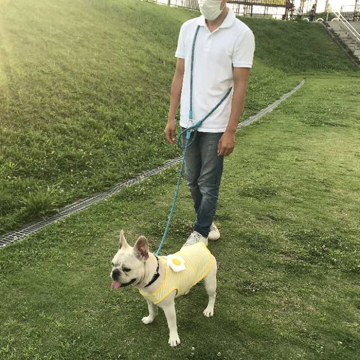 楽天市場】【送料無料】 犬 肩掛け リード ショルダーリード 大型犬 外れない 防止 中型犬フレンチブルドッグ ハンズフリー 超小型犬 小型犬 中型犬 大型犬 斜め掛け 肩かけリード ペット 丈夫 KM523G : BESTWEAR 楽天市場】【送料無料】 犬 肩掛け リード ショルダーリード 大型犬 外れない 防止 中型犬フレンチブルドッグ ハンズフリー 超小型犬 小型犬 中型犬 大型犬 斜め掛け 肩かけリード ペット 丈夫 KM523G : BESTWEAR