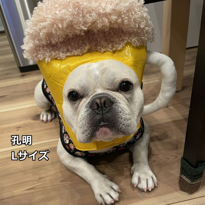 楽天市場 送料無料 被り物 ビール 犬 帽子 超小型犬 小型犬 中型犬 大型犬 かわいい 変身 コスプレ 仮装 パーティー イベント インスタ映え カラフル フレンチブルドッグ ペット用 Km507g Bestwear