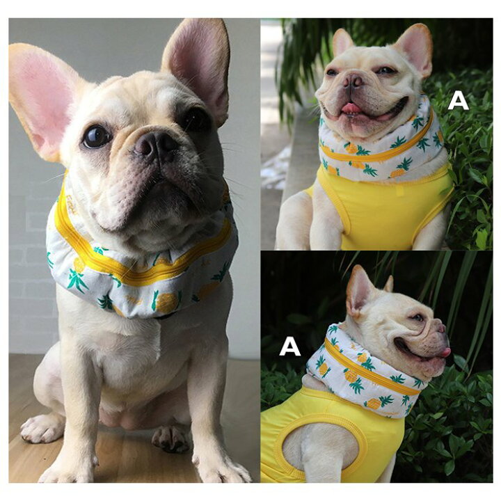10 Off ポイント5倍 首 グッズ 暑さ対策 ひんやり クールネック 犬 夏 フレンチブルドック 保冷剤スヌード 裏生地防水