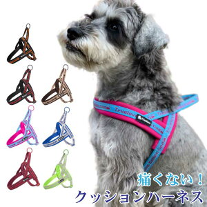 犬 胴輪 おしゃれの人気商品 通販 価格比較 価格 Com