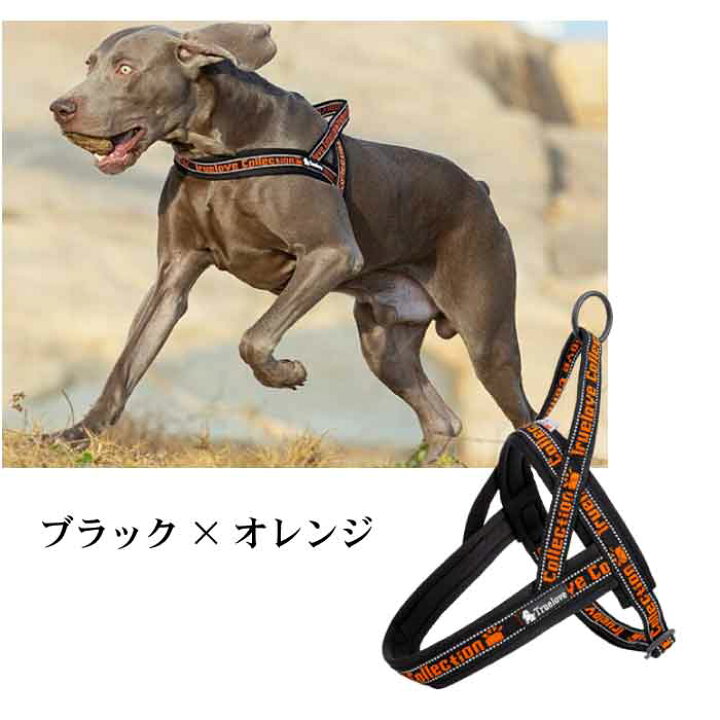 楽天市場 犬 ソフトハーネス ハーネス おしゃれ 胴輪 安全 7色 反射素材 かわいい カラフル 夜間安全 定番 クッション入り フレンチブルドッグ 超小型犬 小型犬 中型犬 大型犬 優しい 痛くない Km519g Bestwear 楽天市場 犬 ソフトハーネス ハーネス おしゃれ 胴輪 安全 7色 反射素材 かわいい カラフル 夜間安全 定番 クッション入り フレンチブルドッグ 超小型犬 小型犬 中型犬 大型犬 優しい 痛くない Km519g Bestwear