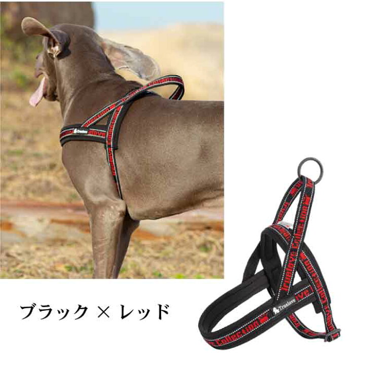 楽天市場 犬 ソフトハーネス ハーネス おしゃれ 胴輪 安全 7色 反射素材 かわいい カラフル 夜間安全 定番 クッション入り フレンチブルドッグ 超小型犬 小型犬 中型犬 大型犬 優しい 痛くない Km519g Bestwear 楽天市場 犬 ソフトハーネス ハーネス おしゃれ 胴輪 安全 7色 反射素材 かわいい カラフル 夜間安全 定番 クッション入り フレンチブルドッグ 超小型犬 小型犬 中型犬 大型犬 優しい 痛くない Km519g Bestwear