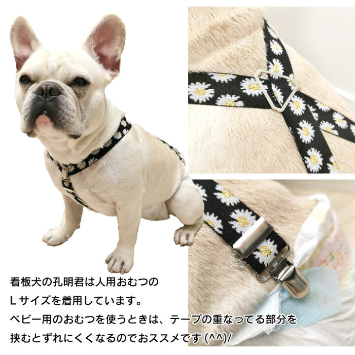 楽天市場 当社オリジナル 犬 おむつ サスペンダー 犬用サスペンダー ずれにくい フレンチブルドック サスペンダー 2点留め 3点留め マナーパンツ かわいい おしゃれ お買い物マラソン 1000円 イチオシ Km534g Bestwear 楽天市場 当社オリジナル 犬 おむつ サスペンダー 犬用サスペンダー ずれにくい フレンチブルドック サスペンダー 2点留め 3点留め マナーパンツ かわいい おしゃれ お買い物マラソン 1000円 イチオシ Km534g Bestwear