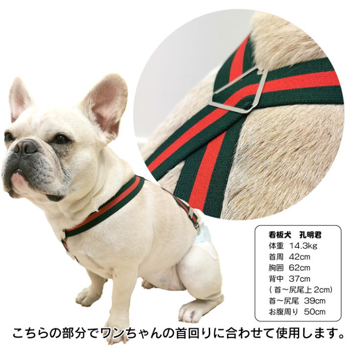楽天市場 ポイント5倍 当社オリジナル 犬 おむつ サスペンダー 犬用サスペンダー ずれにくい フレンチブルドック サスペンダー 2点留め 3点留め マナーパンツ かわいい おしゃれ お買い物マラソン 1000円 イチオシ Km534g Bestwear