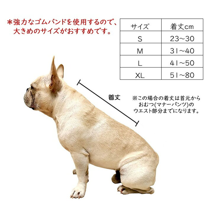 楽天市場 改良新型 当社オリジナル 犬サスペンダー 犬用サスペンダー おむつ ずれにくい フレンチブルドック サスペンダー 2点留め 3点留め 無地カラー マナーパンツ 介護 かわいい おしゃれ イチオシ Km534g Bestwear