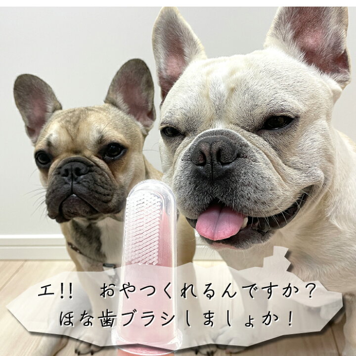 楽天市場 犬 歯ブラシ 10点セット ペット用歯ブラシ シリコン 指サック 歯周病予防 口腔ケア デンタルケア お買い物マラソン 1000円 Km549g 10 Bestwear